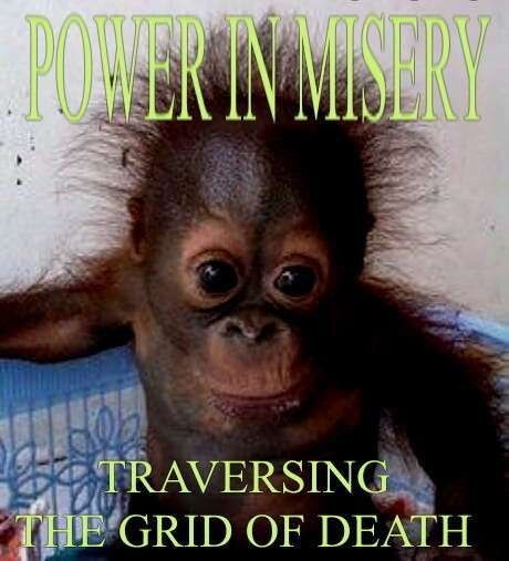 photo of a stupid fucking monkey with the text “POWER IN MISERY TRAVERSING THE GRID OF DEATH”