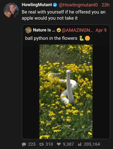 No alt text for this one, sorry.