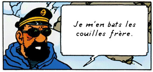 le capitaine haddock, qui porte des lunettes de soleil, dit "je m'en bat les couilles frère".
