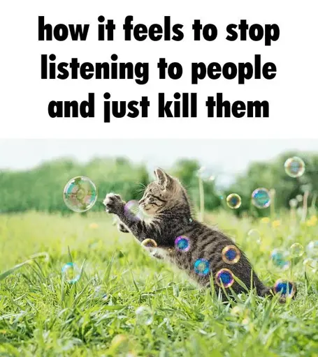A photo of tabby kitten popping a bubble on green grass and blue sky titled How it feels to stop listening to people and just kill them 