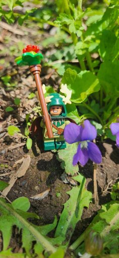 The druid, Quinras Nimblemoon, hanging out in the forest. 