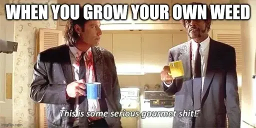 pulp fiction screenshot. text above: "When you grow your own weed". subtitles: "this is some serious gourmet shit"