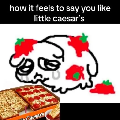 Cat sad after he said he liked little ceasars and was thrown tomatoes