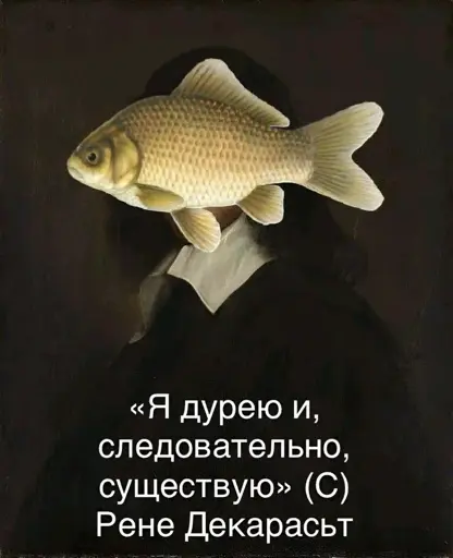 «Я дурею и,
следовательно,
существую» (С)
Рене Декарасьт