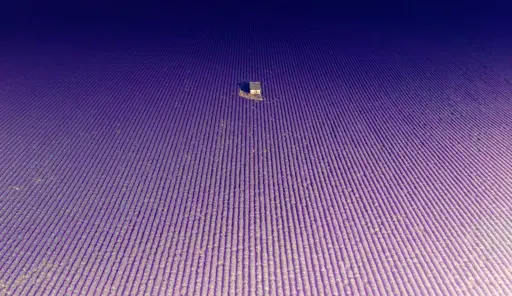 Ariel shot of a small house in the middle of lavender fields.