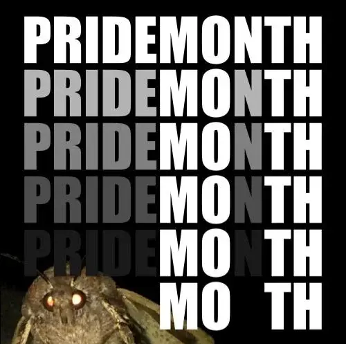 pride month becoming "mo th", with a moth in the corner