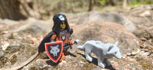 Verdeth Swiftrun, a human warrior with a wolf companion 