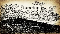 Deep Dive: Stonetop - The Indie Game Reading Club