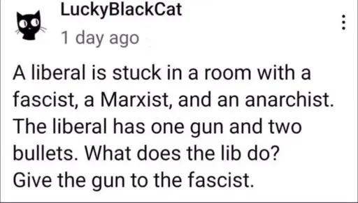 Microblock post from LuckyBlackCat: A liberal is stuck in a room with a fascist, a Marxist and an anarchist. The liberal has one gun and two bullets. What does the lib do? Give the gun to the fascist.