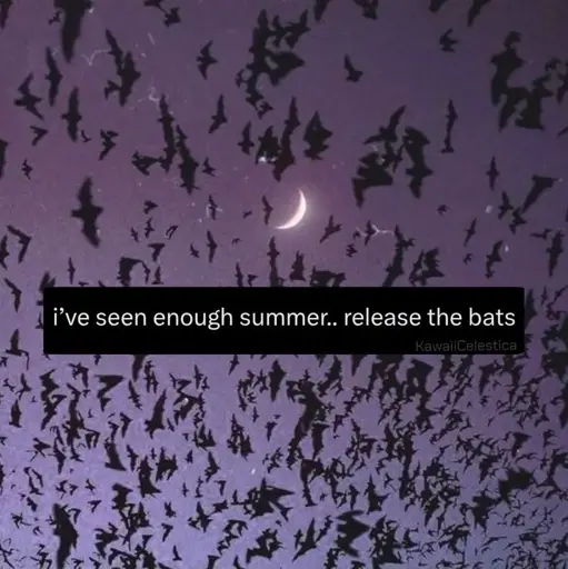 meme. a background of many, many bats in the sky. overlain text reads "I've seen enough summer...release the bats."