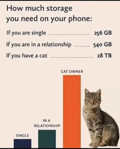 A bar graph stating "How much storage you need on your phone." Single, 256GB ; In a relationship, 540 GB ; If you have a cat, 28TB.