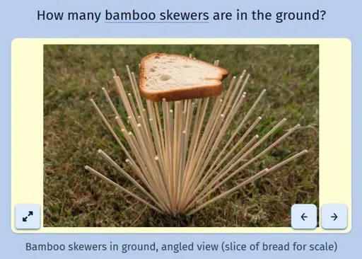 A screenshot of the daily game Estimate Me showing a picture of bamboo skewers stuck in the ground with a slice of bread on top