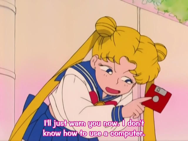 Usagi Tsukino from the anime "Sailor Moon" holding a floppy disk with the text on the bottom saying "I'll just warn you now. I don't know how to use a computer."