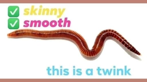 smooth? check. Skinny? check. This is a twink. (it's a worm)