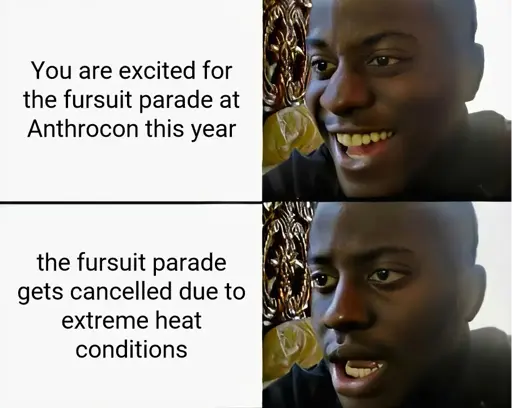 r.i.p. the fursuit parade for anthrocon 2026 :(