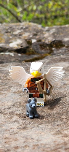 Akki, the Aarakocra ranger, wanders the cliffs above with his little dog companion, Yir. 
