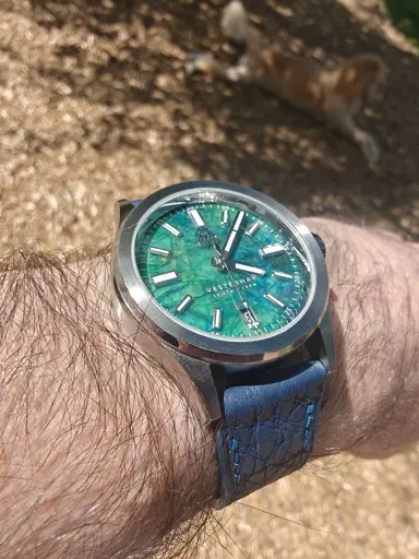 Not sure if this band works but loving this watch as my new daily (ignore body hair)