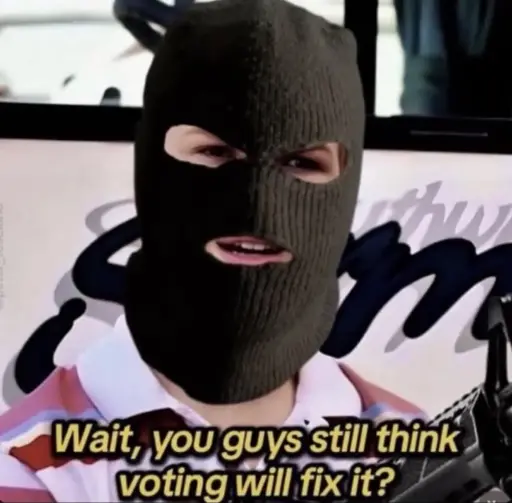 Wait, you guys still think voting will fix it? meme of confused kid with balaclava on. 